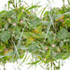 premium image03