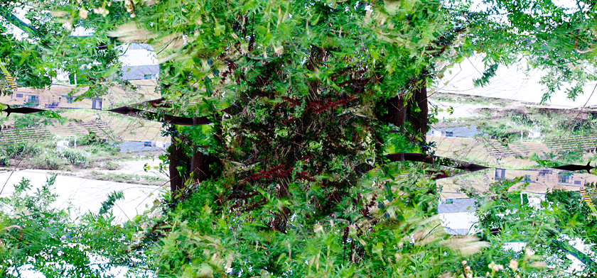l2_green4.jpg