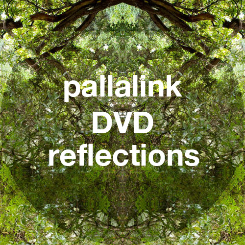 pallalinkDVD_test01.jpg