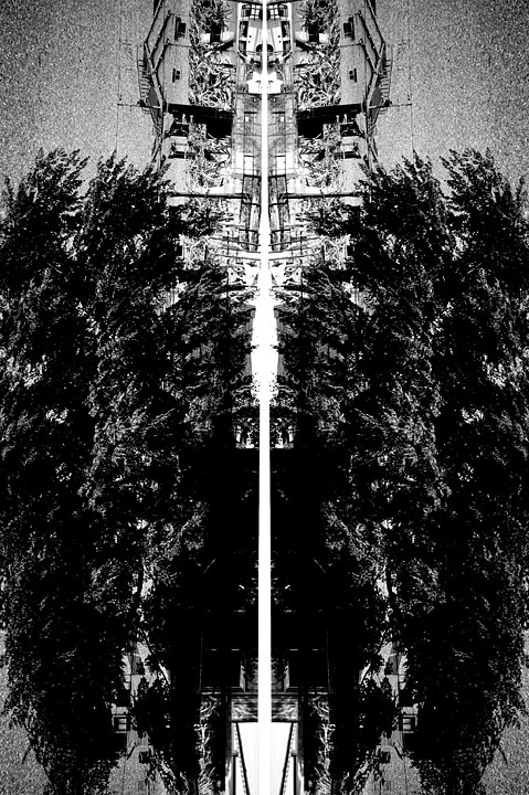 plant41.jpg