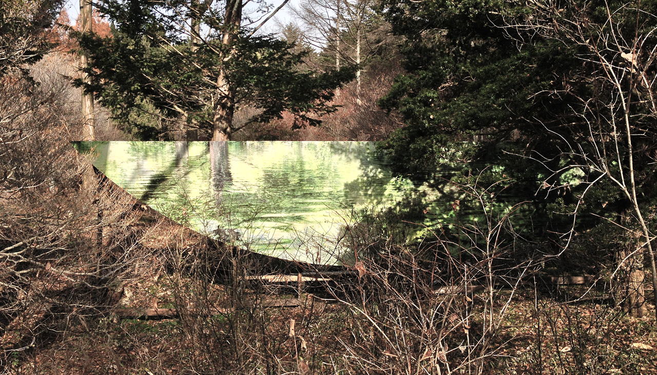 Lakeside Symmetry – winter –