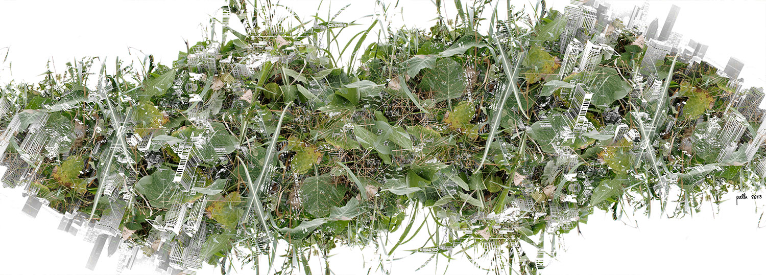Natures – PALLALINKの10年 at CASO