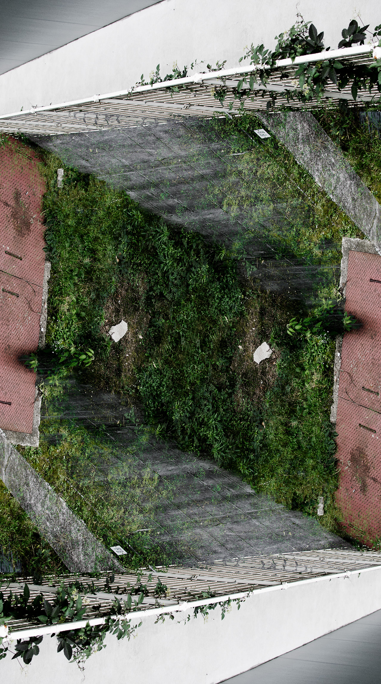 _DSC0015