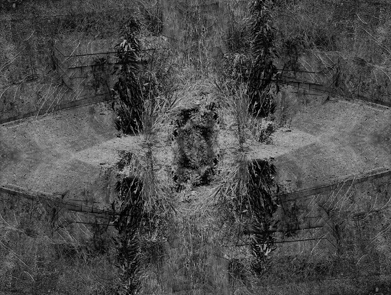 _DSC0146