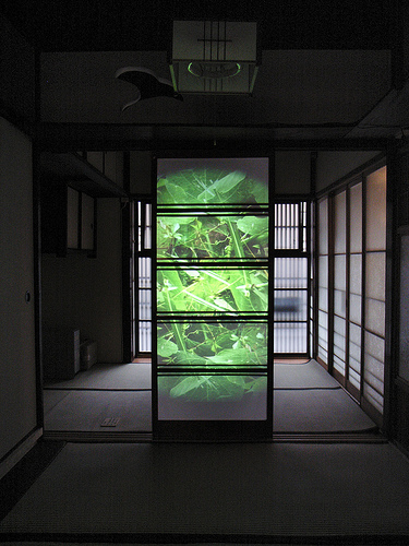 exhibition photos.