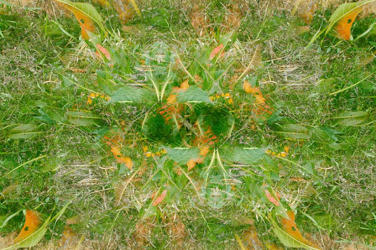 l_green60.jpg