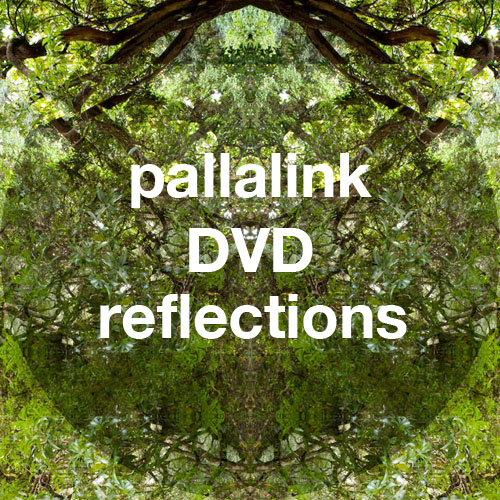 announcement : pallalinkDVD / REFLECTIONS