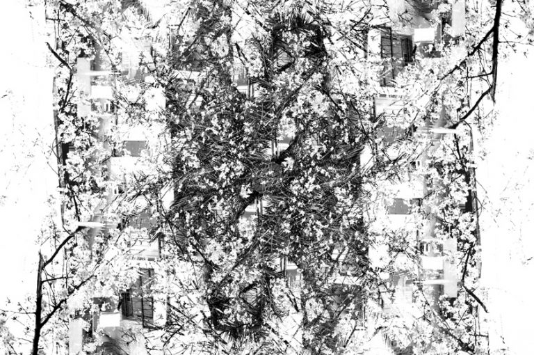 sl_plant01.jpg