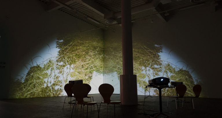 The exhibition “Natures” – video installation