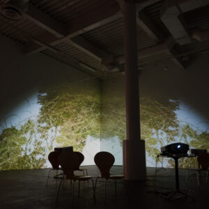 Natures : video installation archives