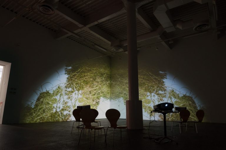 Natures : video installation archives