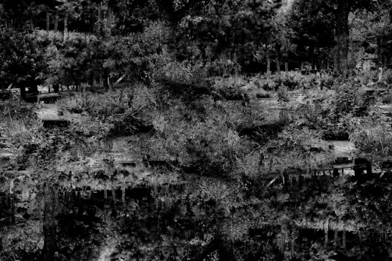 SDIM0521