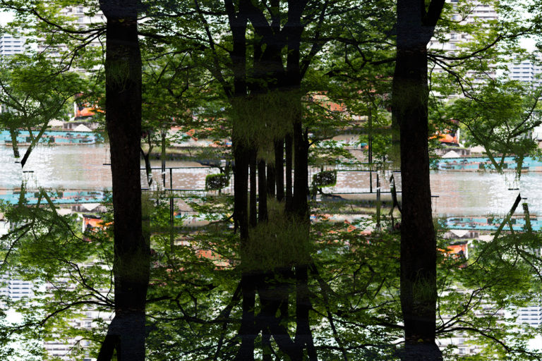 SDIM0820