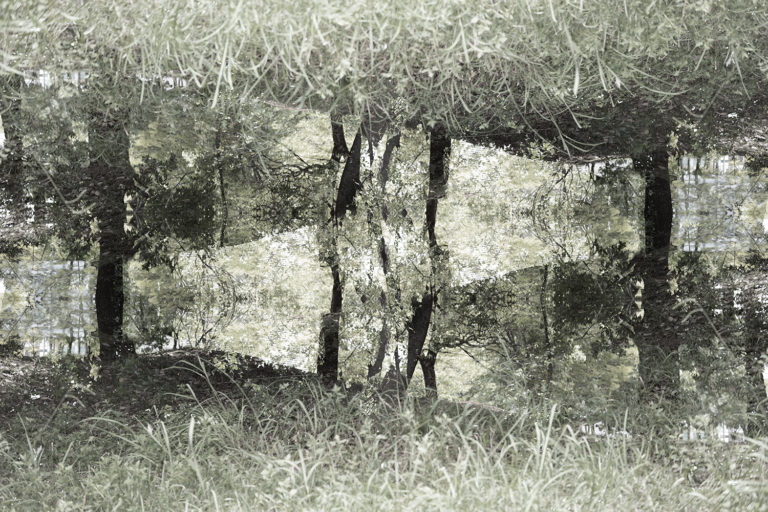 SDIM1059