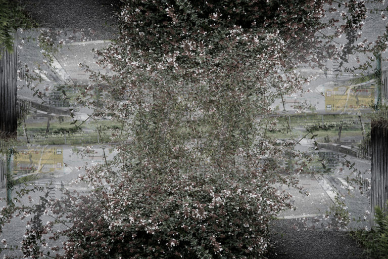 SDIM1100