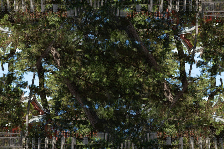 SDIM1290