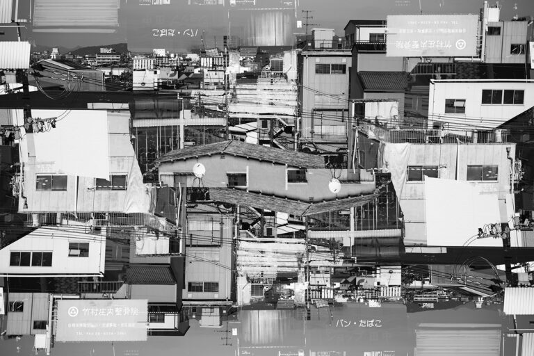 SDIM2091