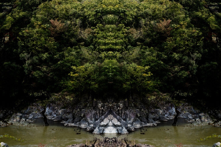 SDIM2007