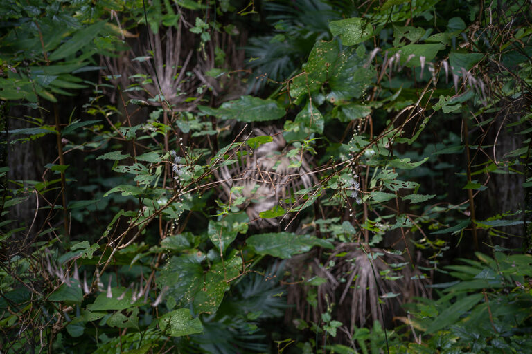 SDIM3714