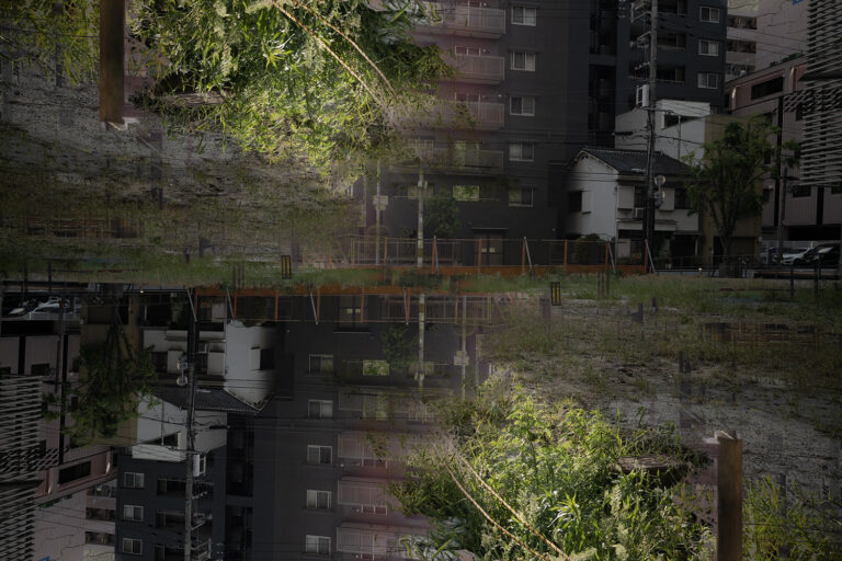 SDIM3952