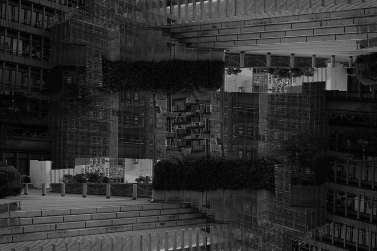 SDIM4233