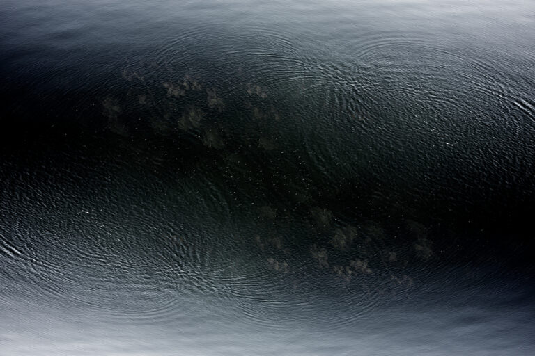 SDIM4540