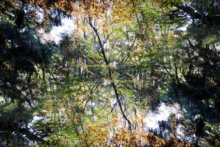 SDIM4678