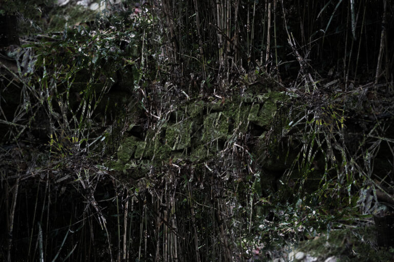 SDIM4686