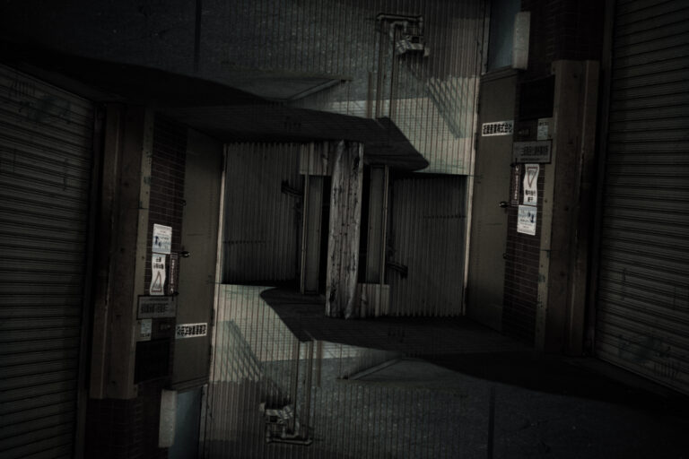 SDIM4691