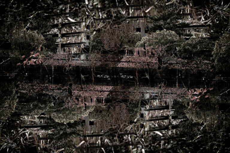 SDIM4767