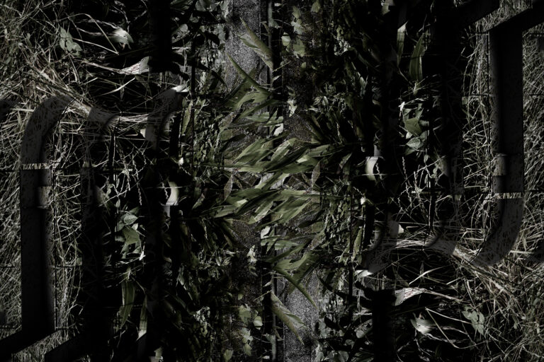 SDIM4045