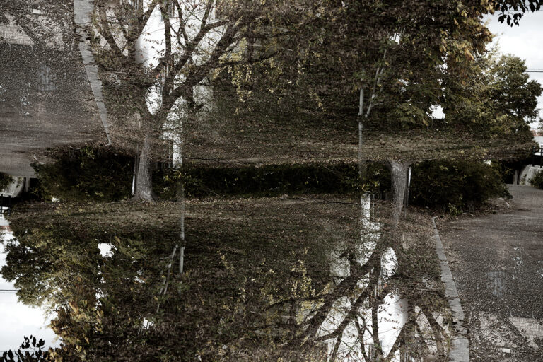 SDIM4738