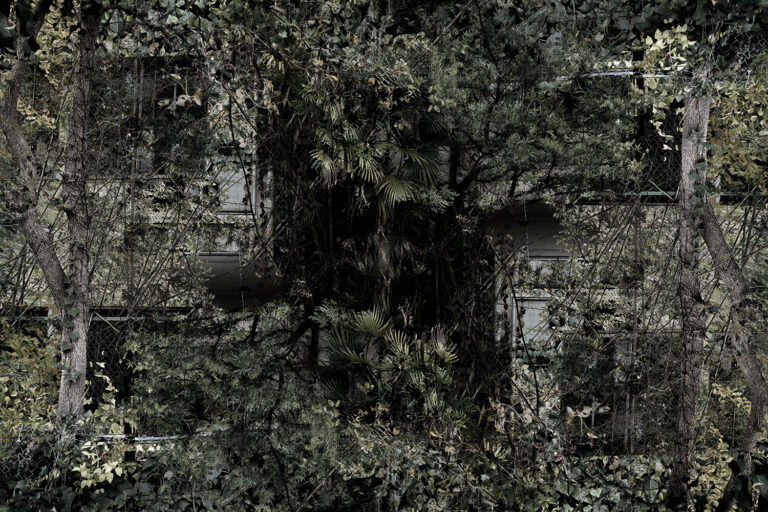 SDIM4741