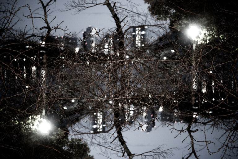 SDIM4916