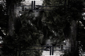 SDIM5077