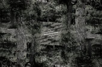 SDIM0524