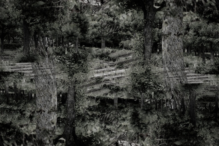 SDIM0524