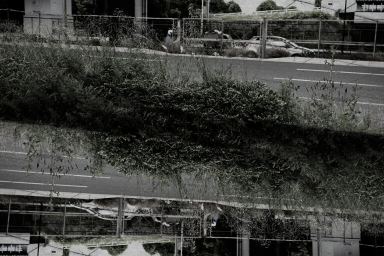 SDIM0398