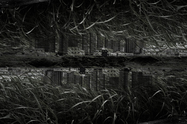 SDIM1108