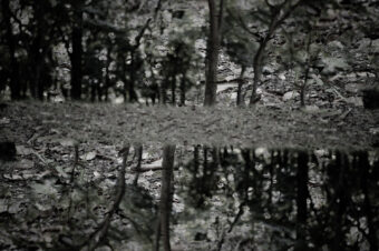 SDIM3730