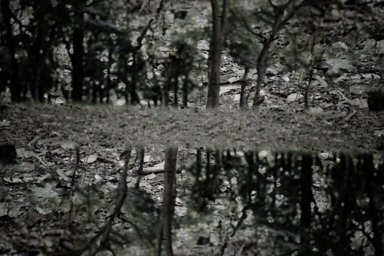SDIM3730