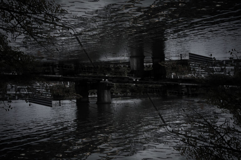 SDIM3791