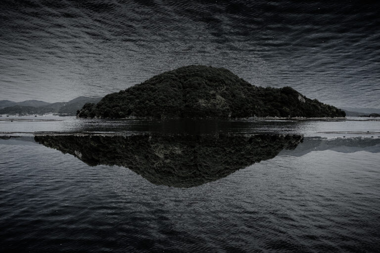 SDIM4495