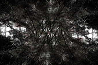 SDIM4656
