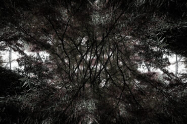 SDIM4656