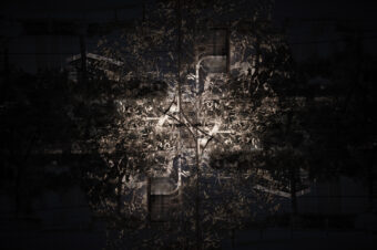 SDIM4793