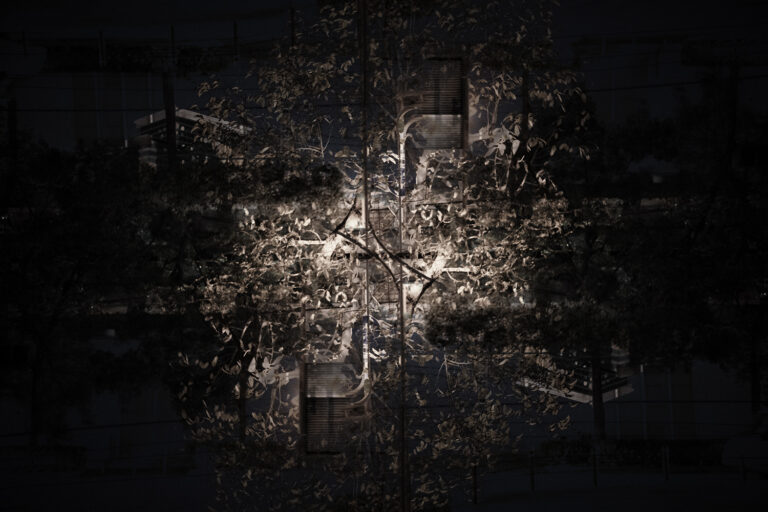SDIM4793