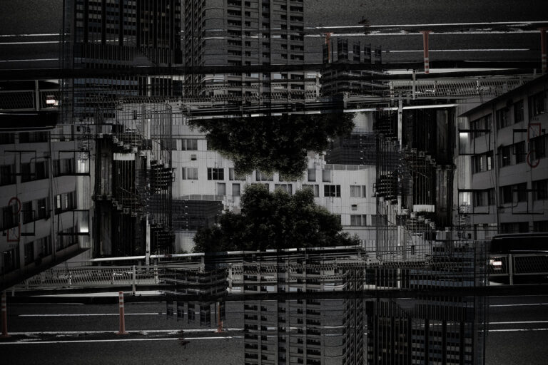 SDIM5203