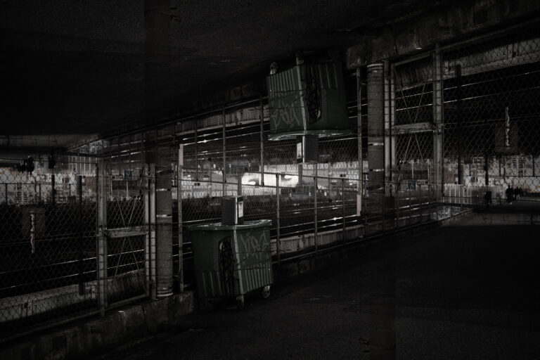 SDIM5230