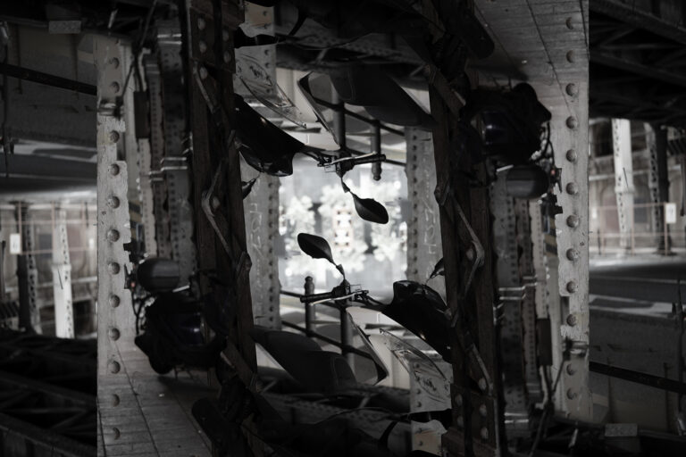 SDIM1429